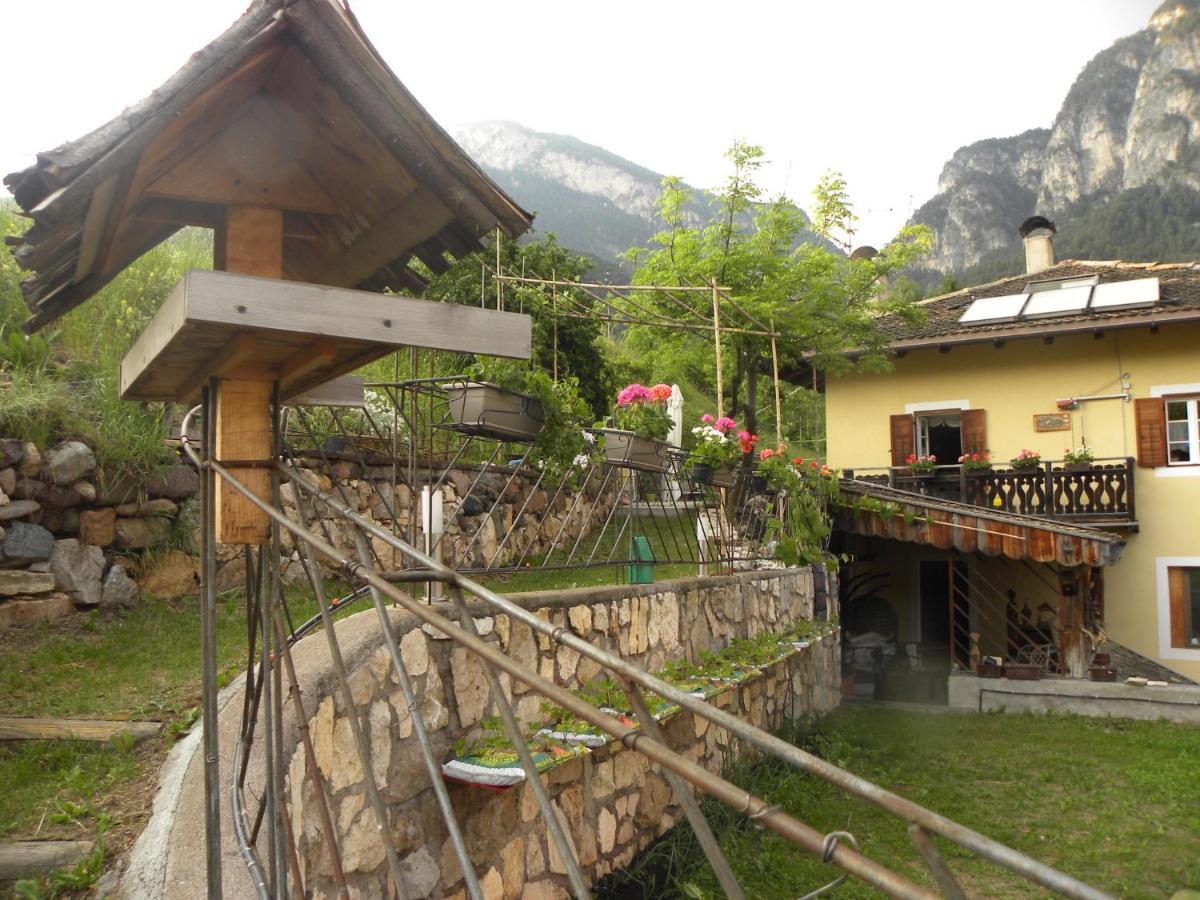B&B La Casa Delle Bambole 판키아 외부 사진